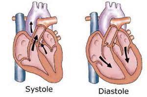 systolic and diastolic